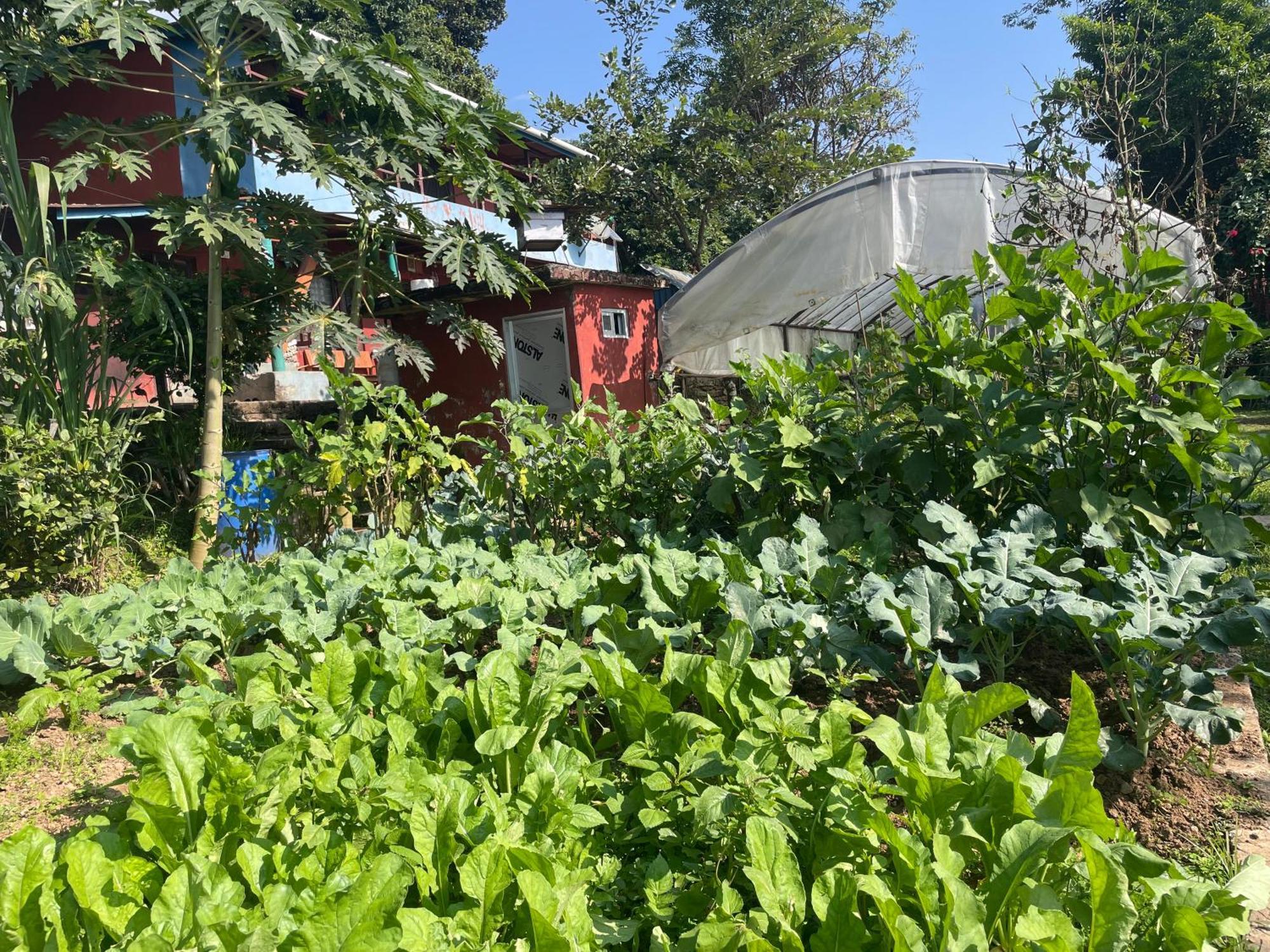 Himalaya Serene View Guest House & Farm Stay Deorali Exterior photo