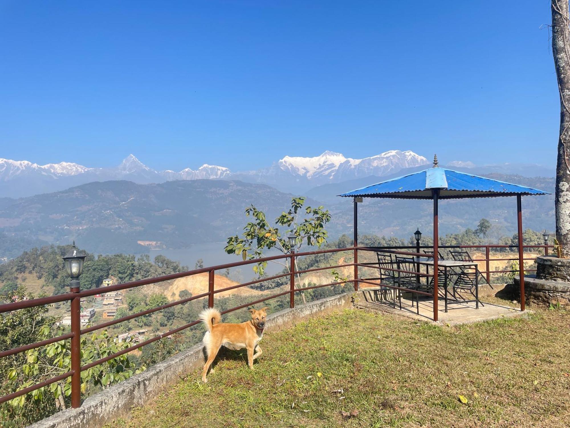 Himalaya Serene View Guest House & Farm Stay Deorali Exterior photo